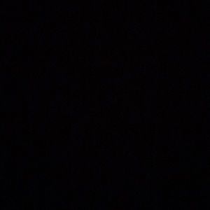 Meet your Posher, Genesis